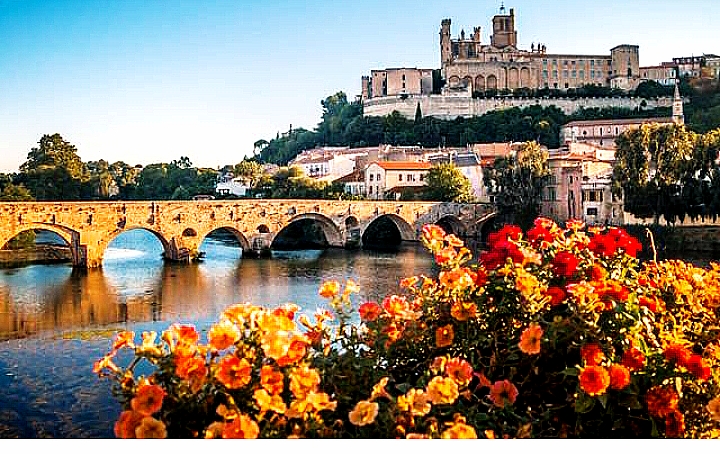 La cactée singulière à Béziers