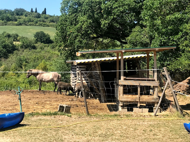 Gîte La Croisée de Saint-Cricq à Auch