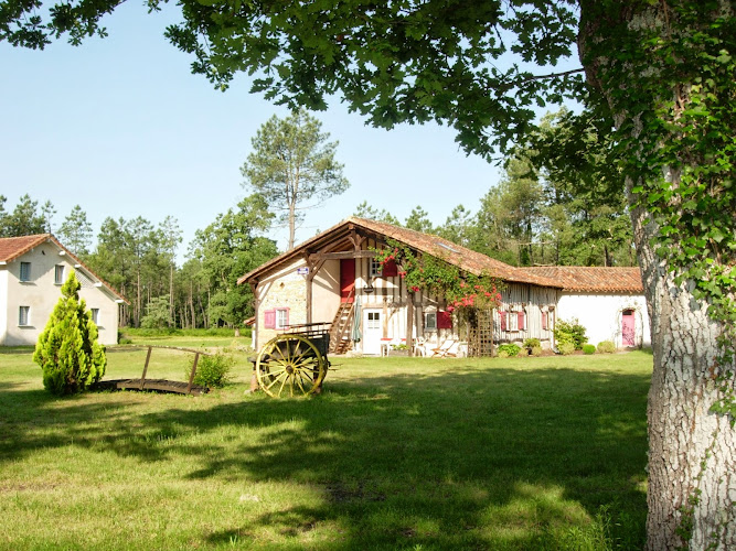 Domaine de Grand Lestrat à Lencouacq