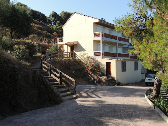 Les Asphodèles à Partinello