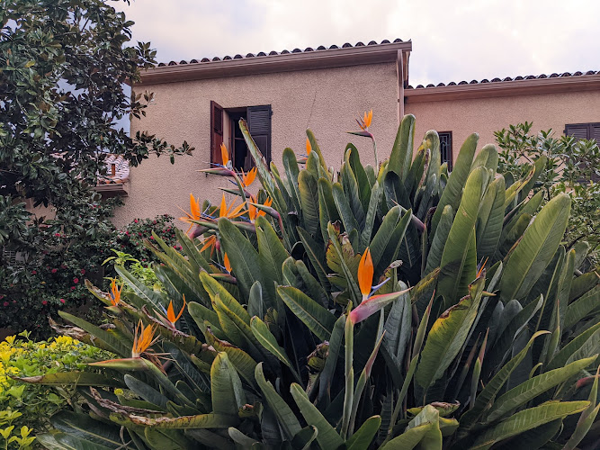 Auberge U Licettu à Cuttoli-Corticchiato