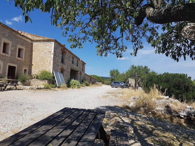 La Belle Auriole à Opoul-Périllos