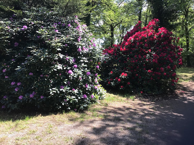 Camping Bois Des Ecureuils à Guilligomarc'h