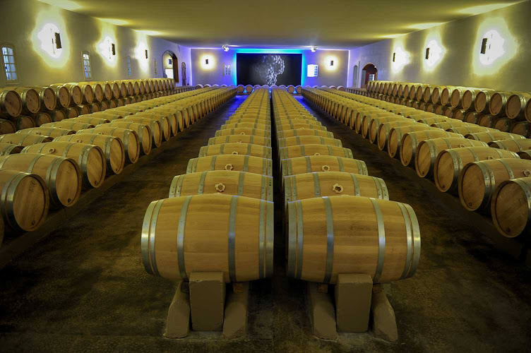 Chateau Sociando Mallet à Saint-Seurin-de-Cadourne