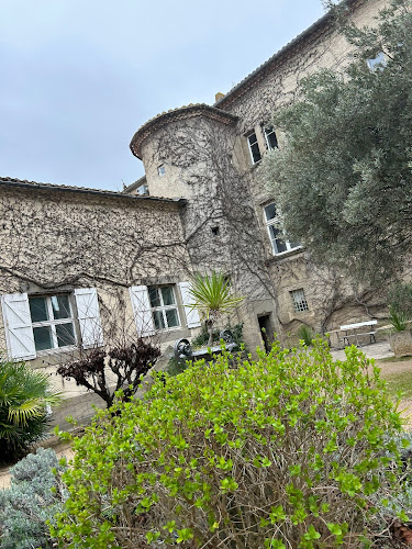 hôtel Chateau De Cavanac