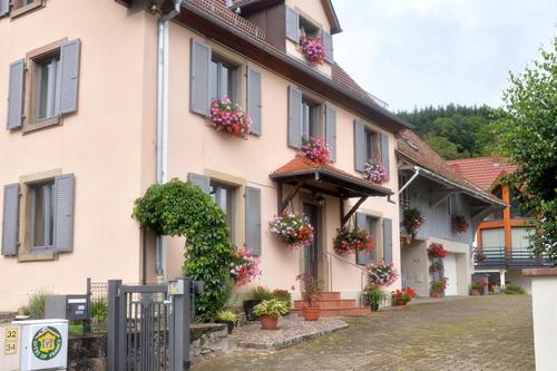 Du site du Hohneck à Metzeral