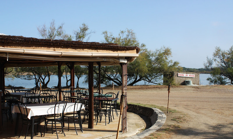 Camping Concept car à Aigues-Mortes