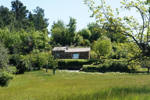 30g12549