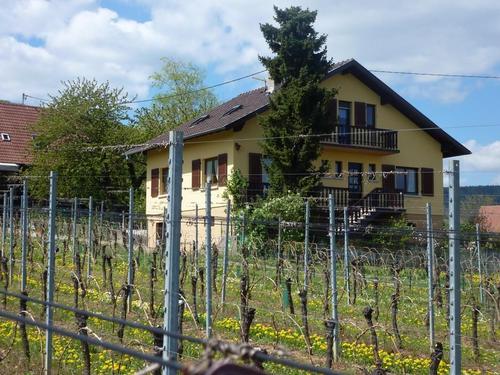 Gîte KELLER à Pfaffenheim