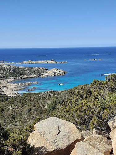 Figari à Figari