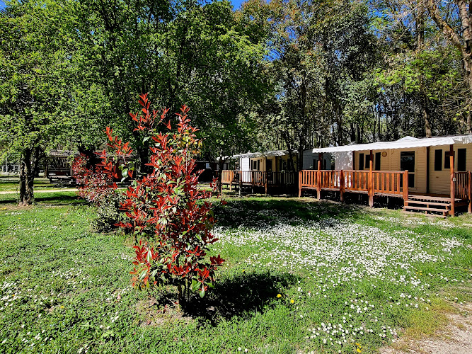 Camping en Ardèche à Bourg-Saint-Andéol