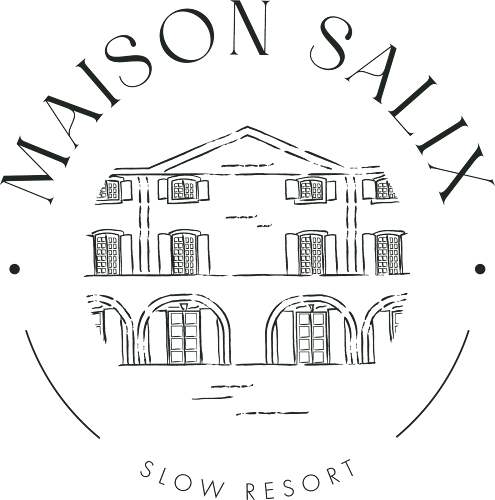 Maison Salix à Vallabrègues