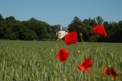 Château de Courtry - Entrée de droite à Sivry-Courtry