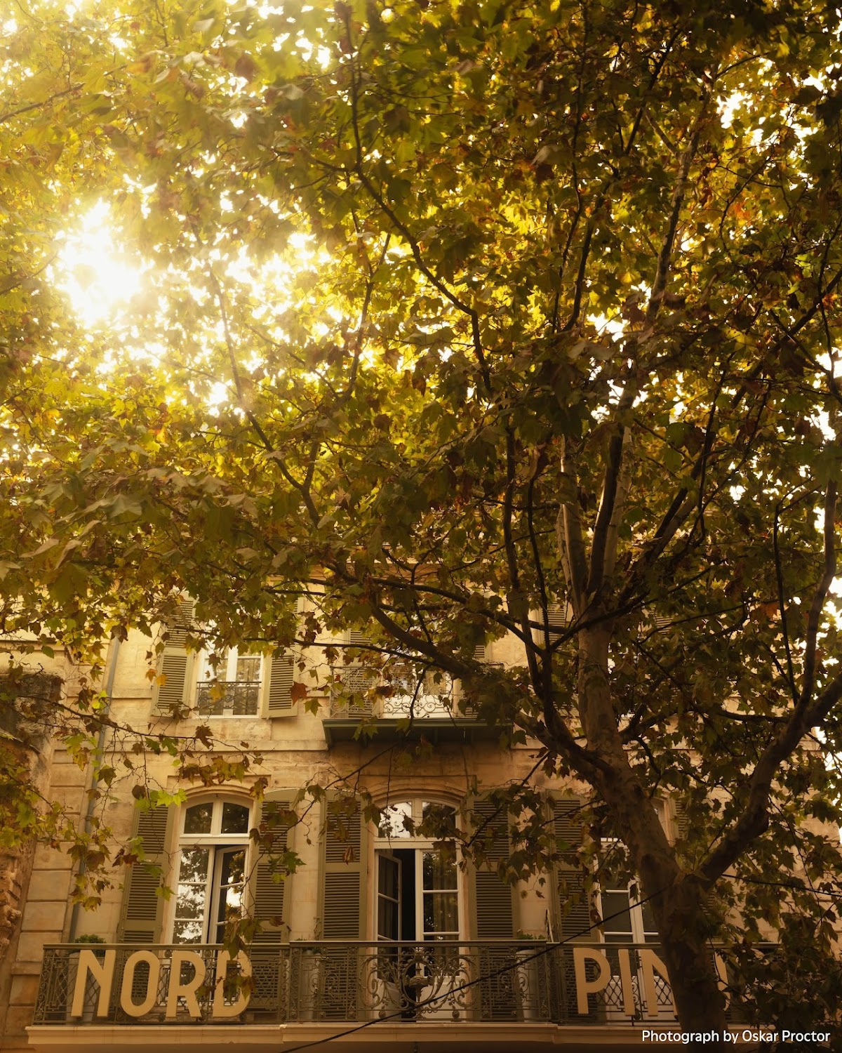 Le Nord-Pinus à Arles