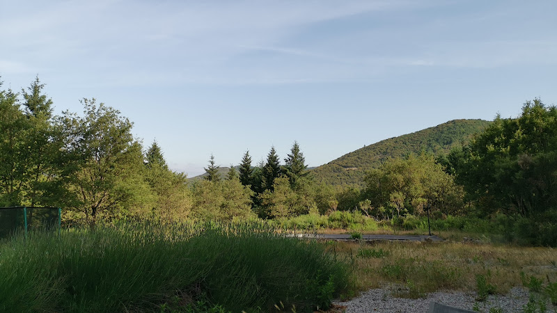 Saintromaindecodieres à Saint-Roman-de-Codières