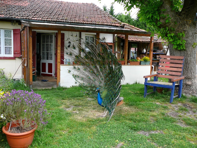 Guesthouse La Burle à Parentis-en-Born