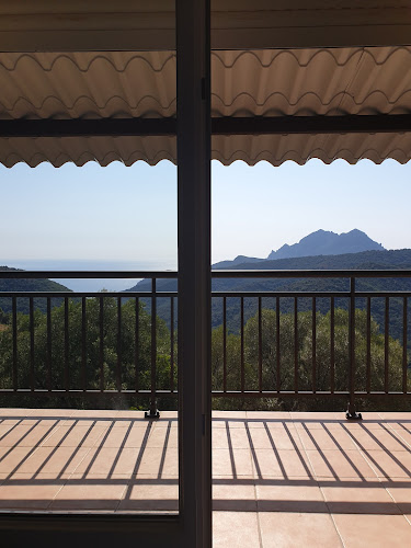 Les Aphodelles à Partinello