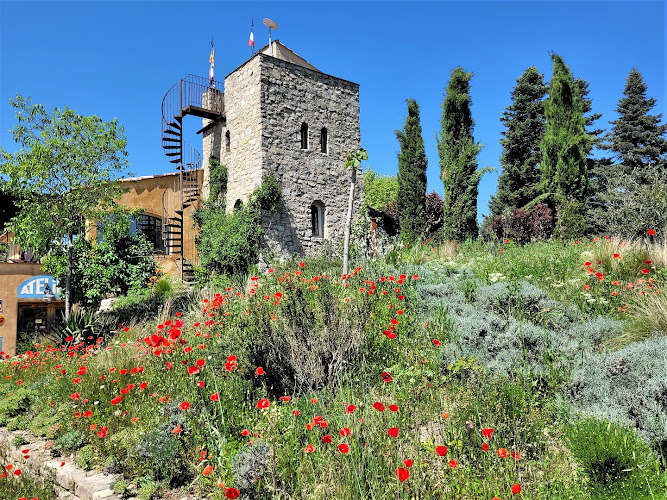 Une Campagne en Provence à Bras