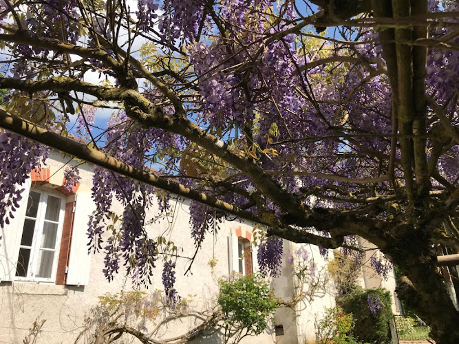 Gîte Armance à Valencisse