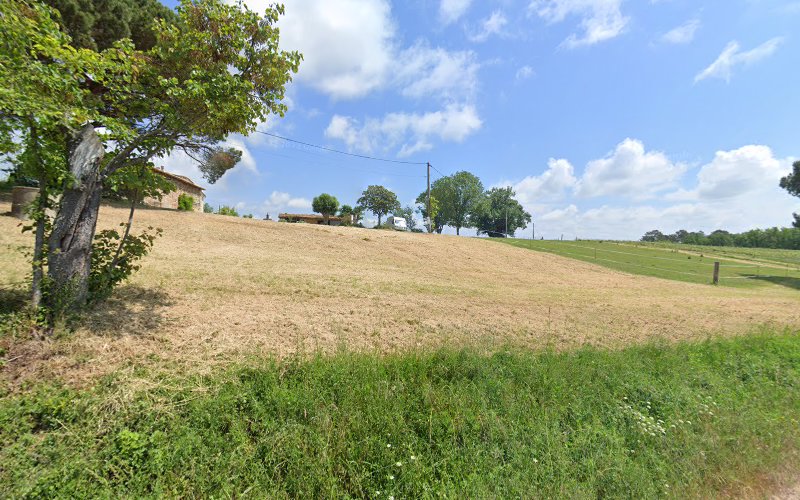 La ferme du Vert à Castelnau-de-Montmiral