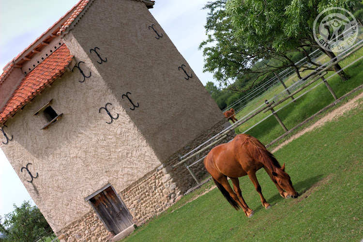 Chambres d hôtes Ondine et Igor à Saint-Marcellin-en-Forez