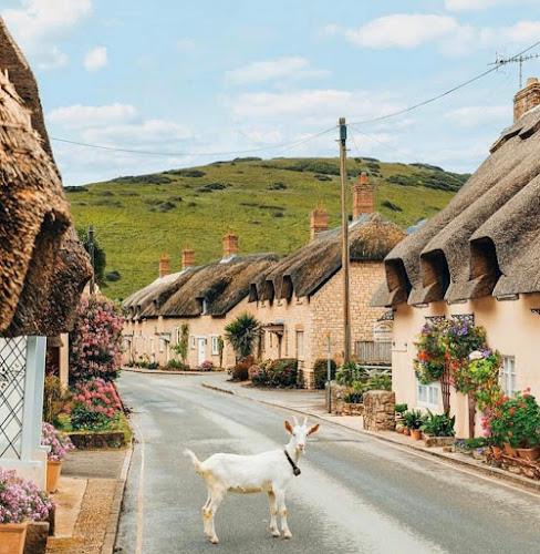 Les gites de charme à Barbaste