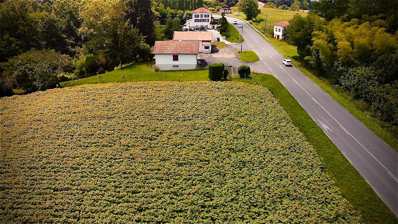 Domaine Beau Sejour à Biaudos