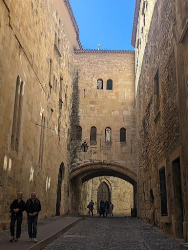 Narbone à Narbonne