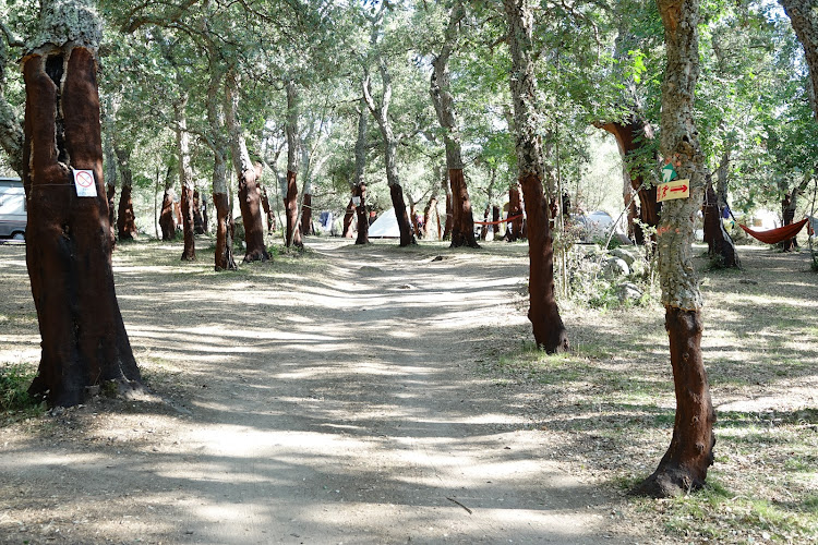 Les Amis d Hugo Nicoli à San-Gavino-di-Carbini