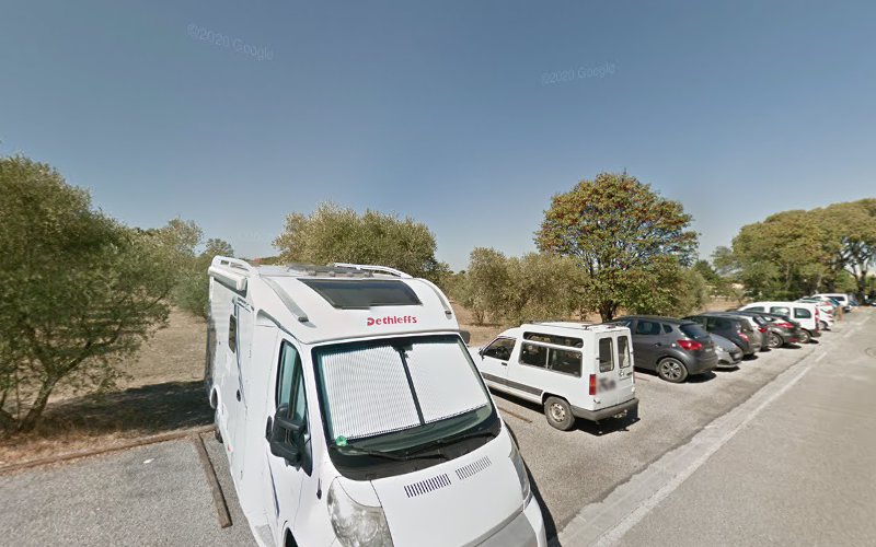 Van Goth à Saint-Rémy-de-Provence