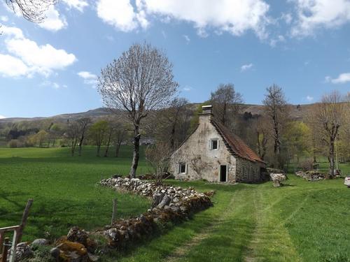 Cipière à LAVIGERIE