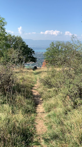 Sick view of Geneva and fireplace à Monnetier-Mornex