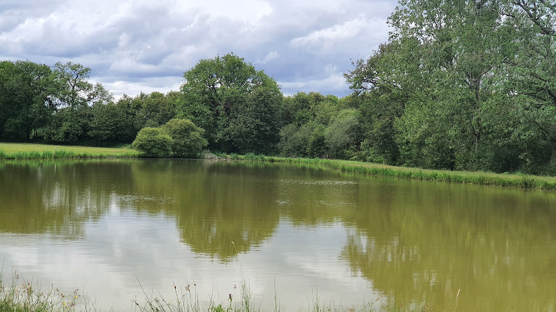 Village Vacances et Nature à Saint-Charles-la-Forêt