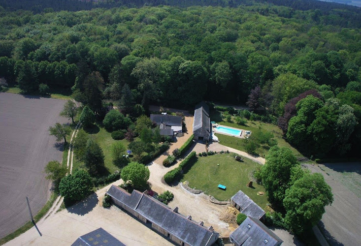 Le Domaine du Plessis Jalesnes à Vernantes