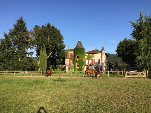 Le Daneline à Cluny