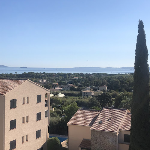 Les Hibiscus à Hyères