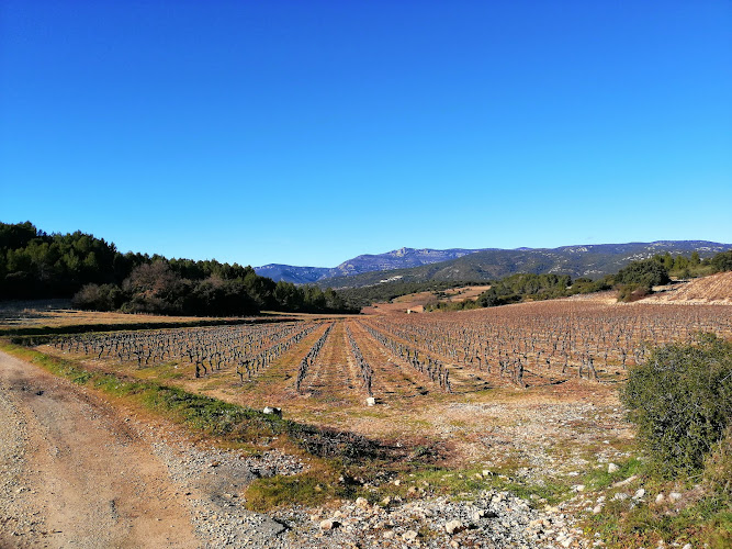 Lagamas à Lagamas
