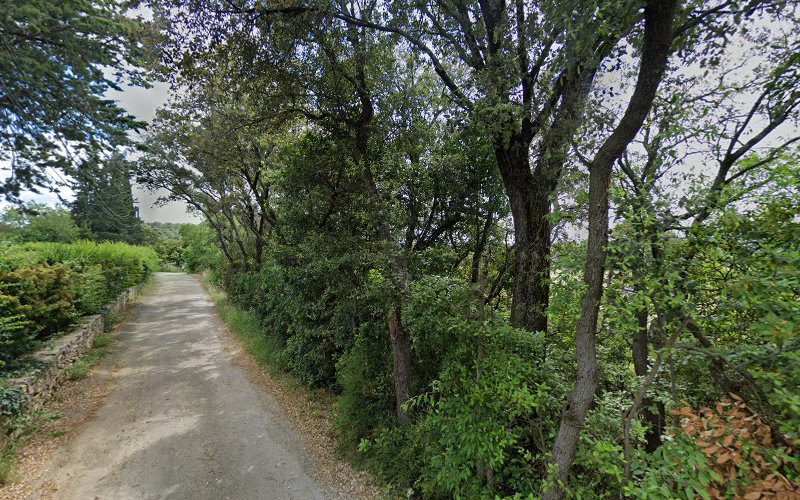 Mas des oliviers à Souvignargues