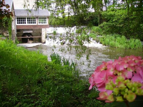 "Le Moulin " au Moulin de Feuyas à SAINT-ROMAIN-ET-SAINT-CLEMENT