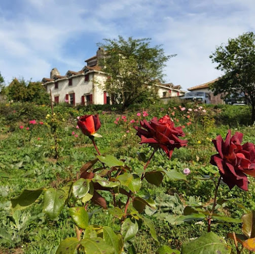 Chateau de Cabanes à Courniou