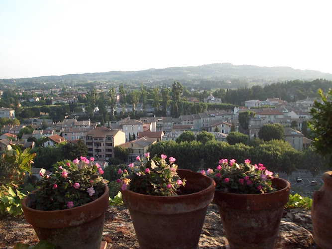Verdier Aude à Vaison-la-Romaine