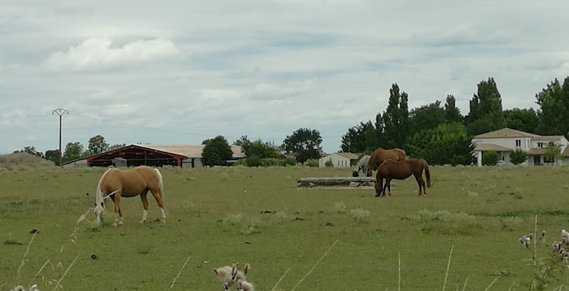 La Ferme De L etang à Mornac-sur-Seudre