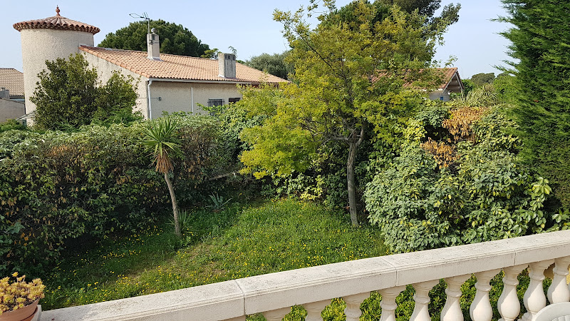 BlueSeaForYou: Location villa piscine à Sausset-les-Pins