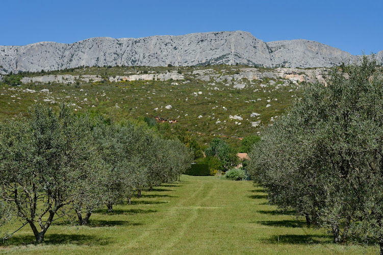 Mas L Olivier Rouge à Rousset
