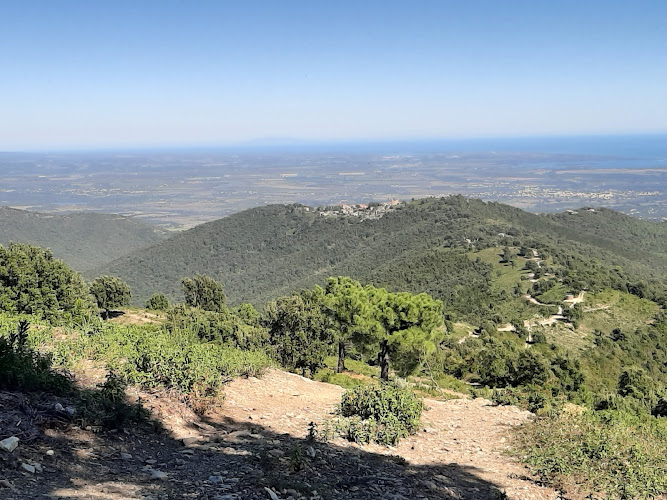 Serra-di-Fiumorbo à Serra-di-Fiumorbo