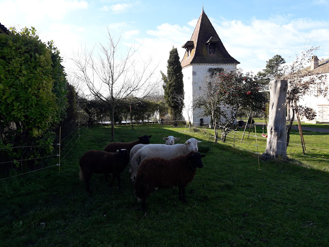 Gite Laborde à Montaigu-de-Quercy