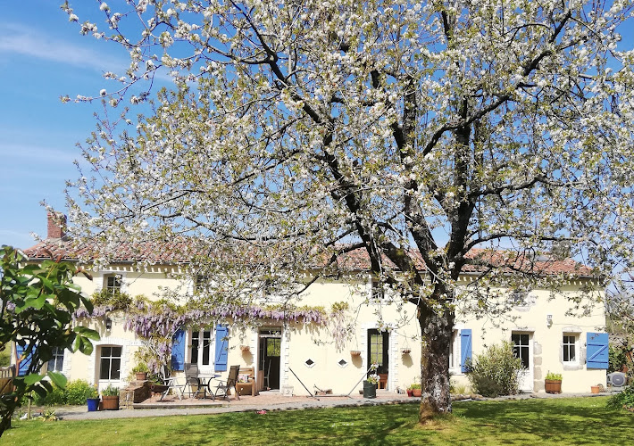 Papillons Chambres D hotes à Montournais