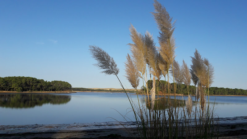 Vacances Vieux-Boucau à Soustons