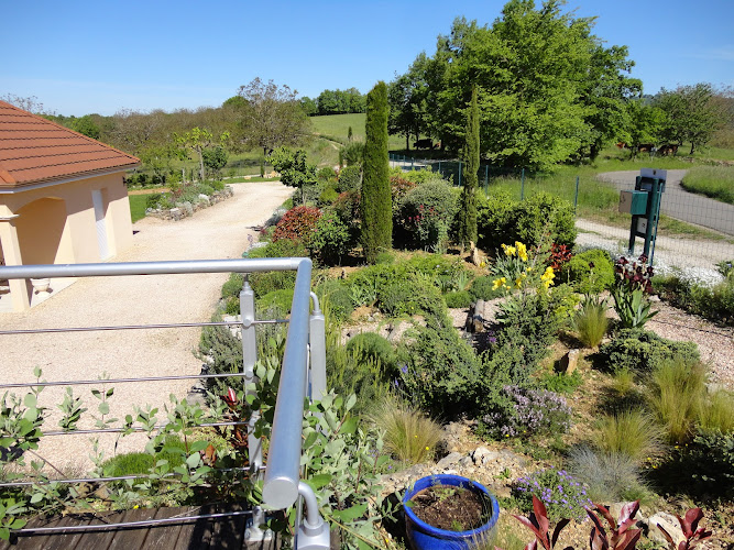 La Vigne du Causse à Saint-Julien-Maumont