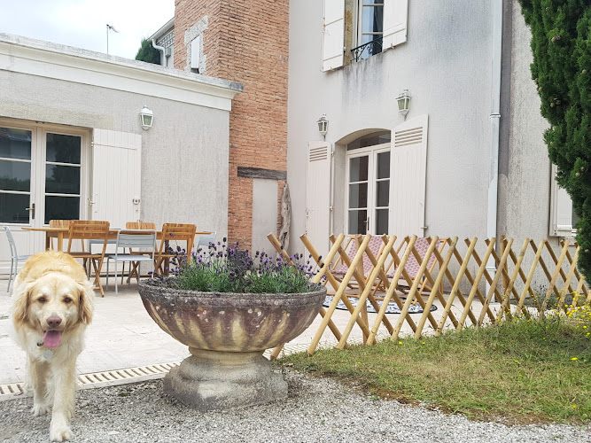 Villa Eva des landes à Rion-des-Landes